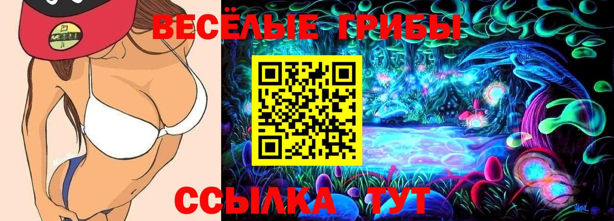 Галлюциногенные грибы мицелий Бузулук